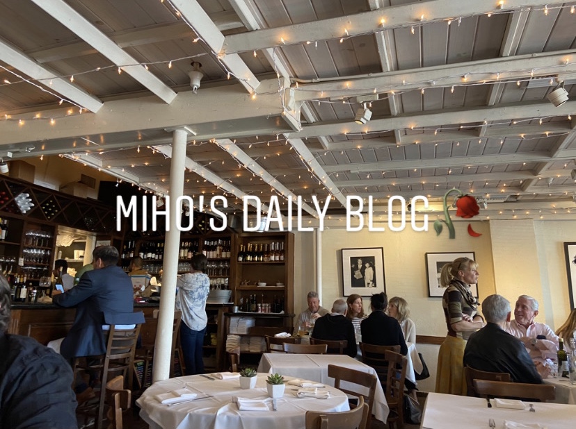 Miho's Daily Blog